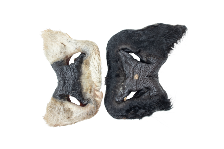 Two Dehydrated Beef Snout dog treats