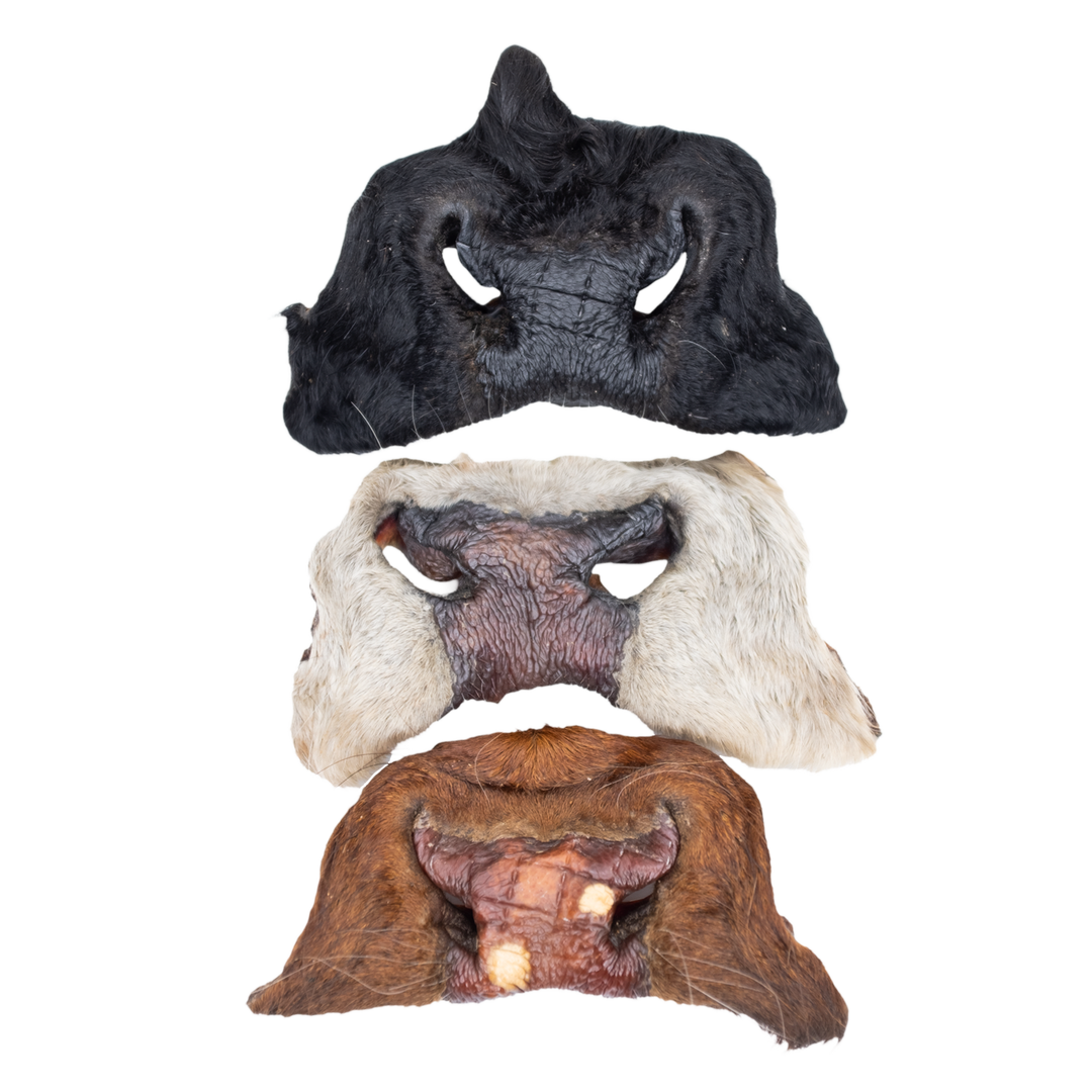 Three different colored beef snouts