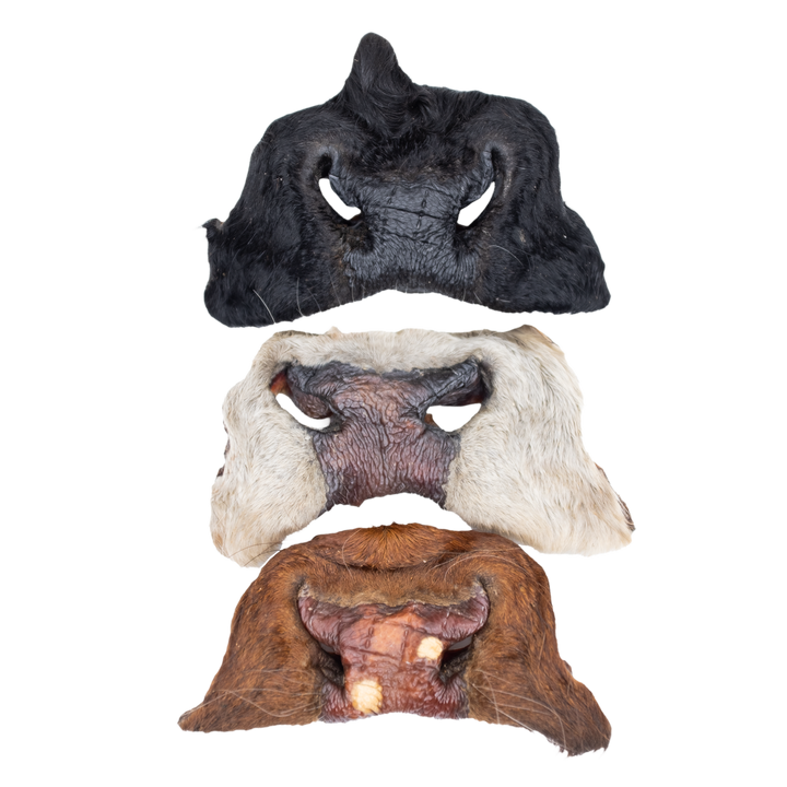 Three different colored beef snouts