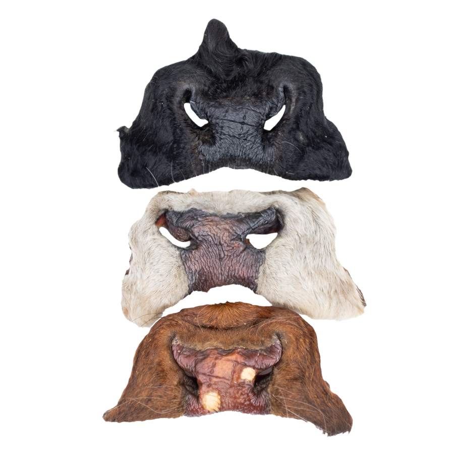 Three different colored beef snouts