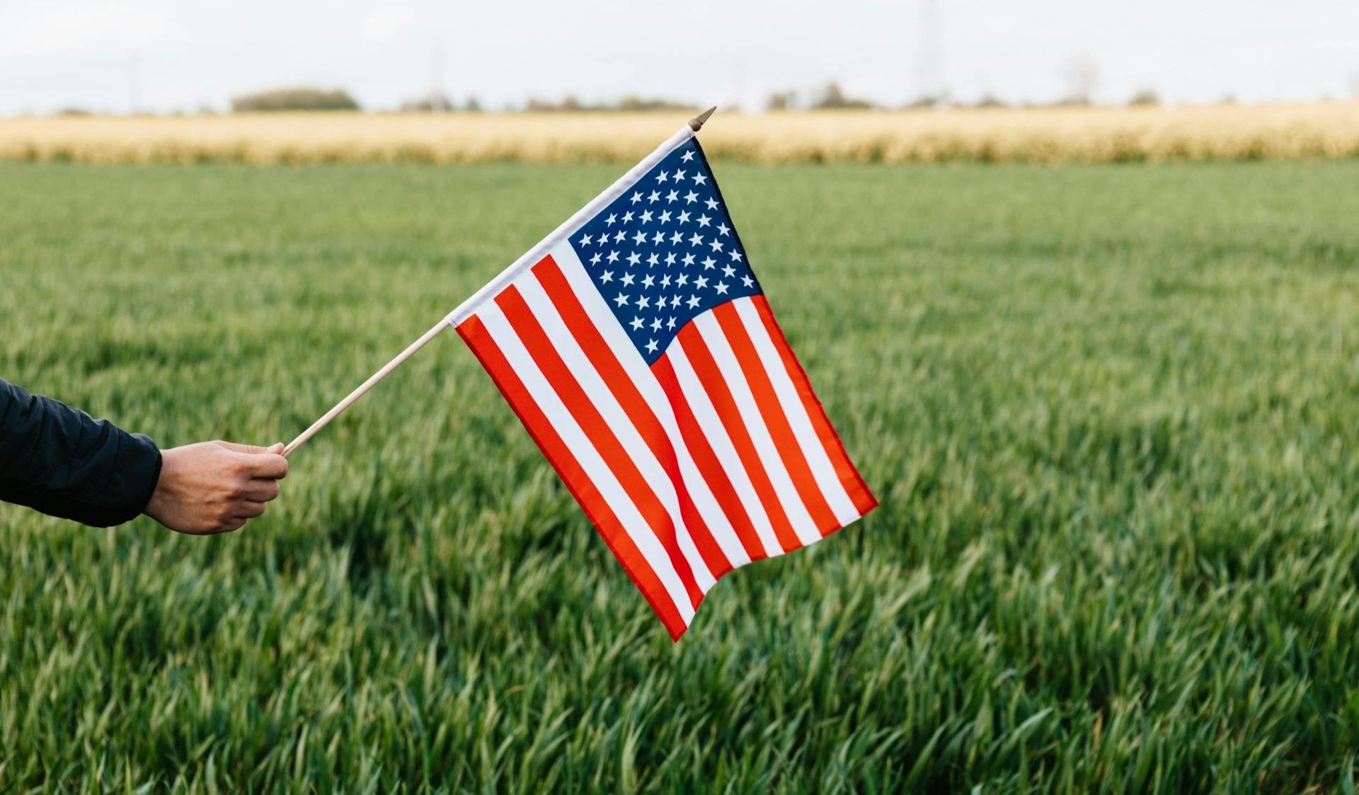 Hand holding an American flag over a grassy field, symbolizing Earth & Tail's dedication to treats sourced and made in the USA, supporting local communities.