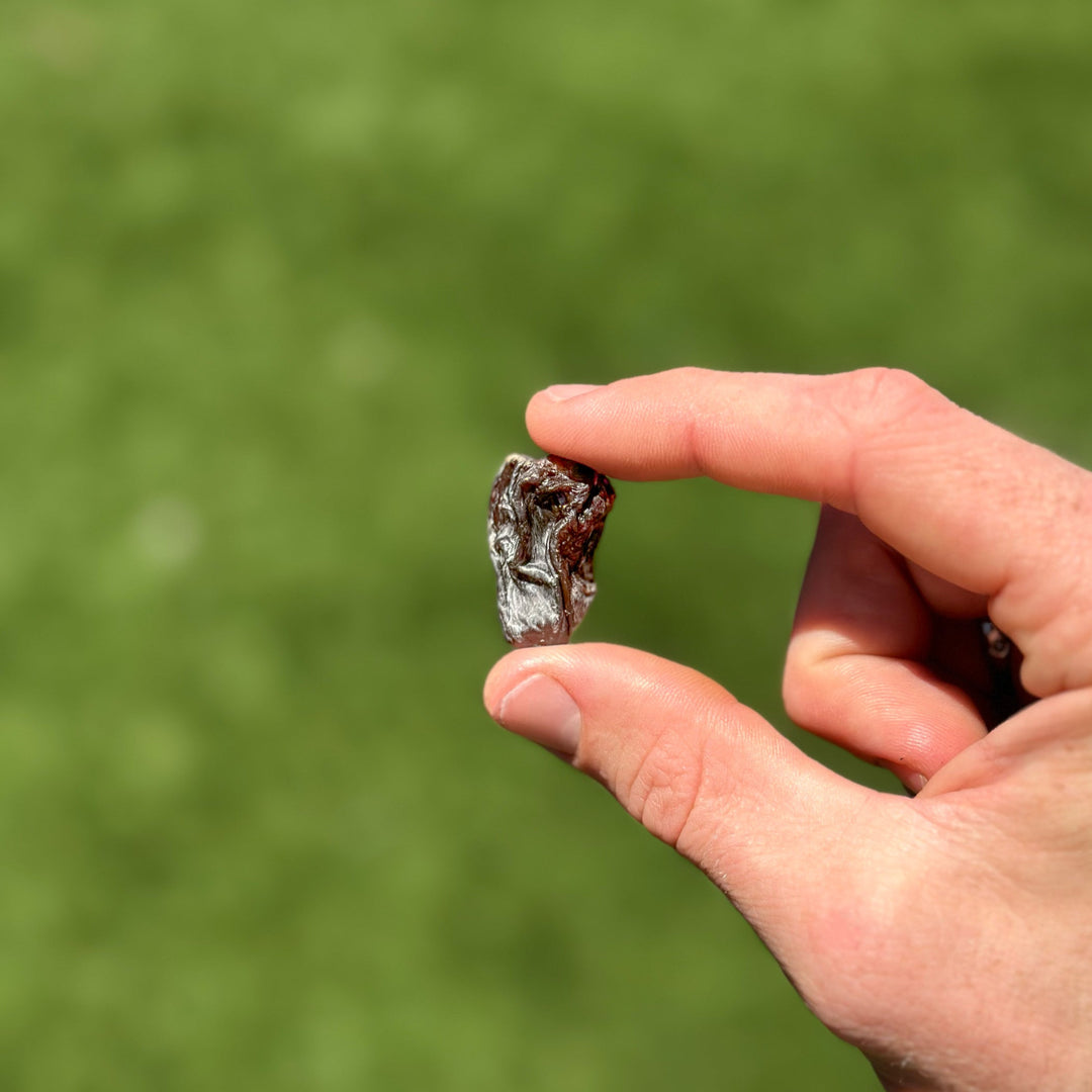 Hand holding a dehydrated chicken heart