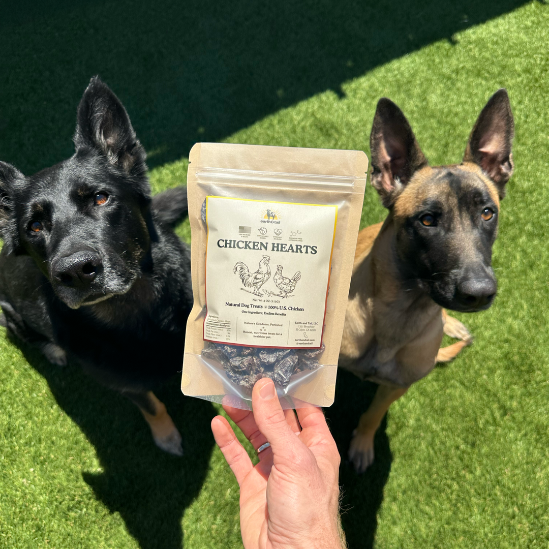 two dogs staring at a bag of chicken heart dog treats