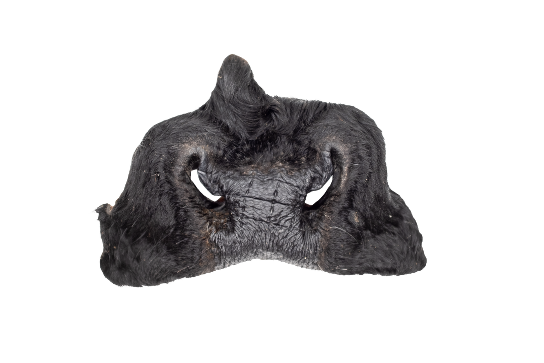 Beef Snout