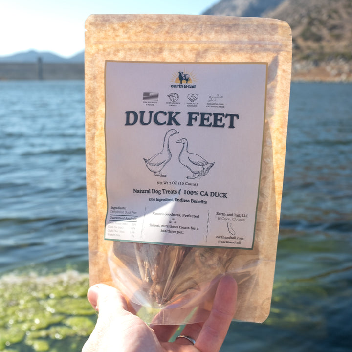 Duck Feet