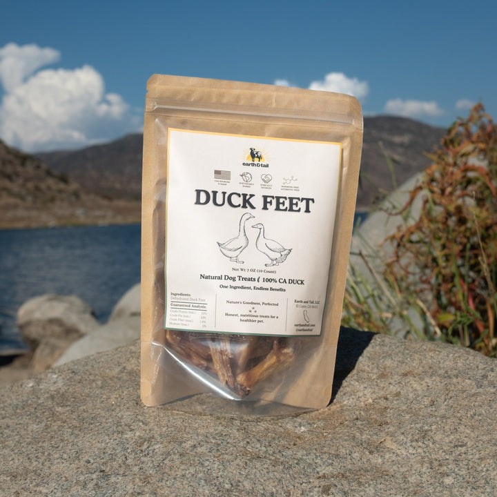 Duck Feet