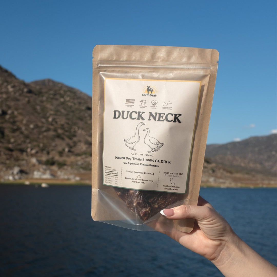 Duck Neck
