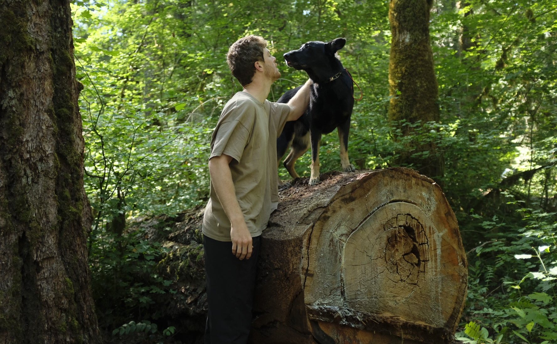 Founder and dog standing on a log in the Redwoods forest, representing Earth & Tail's origins and mission.