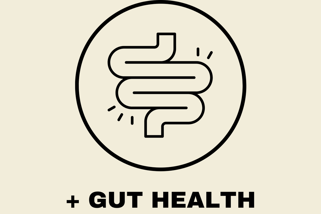 Circle icon with a gut illustration and text below reading '+Gut Health,' showcasing the digestive benefits of Earth & Tail treats.