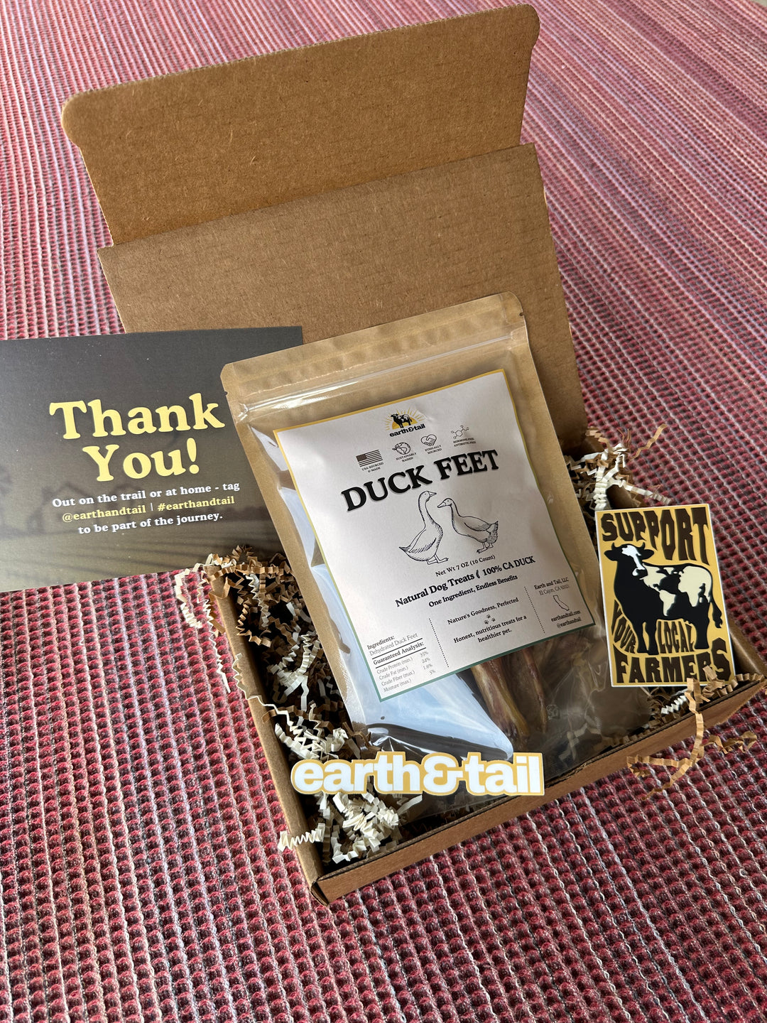 Duck Feet