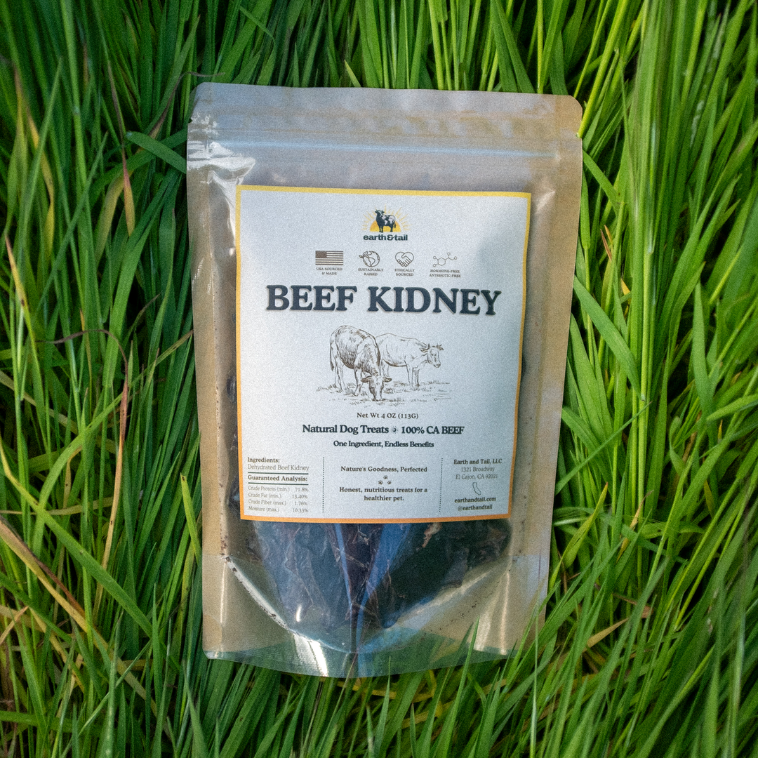 Beef Kidney