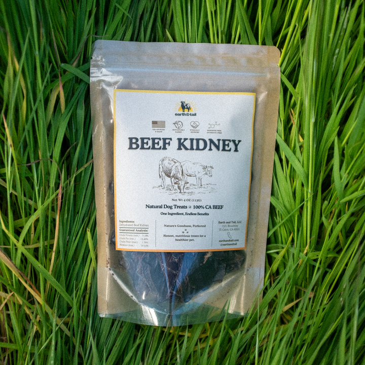 Beef Kidney