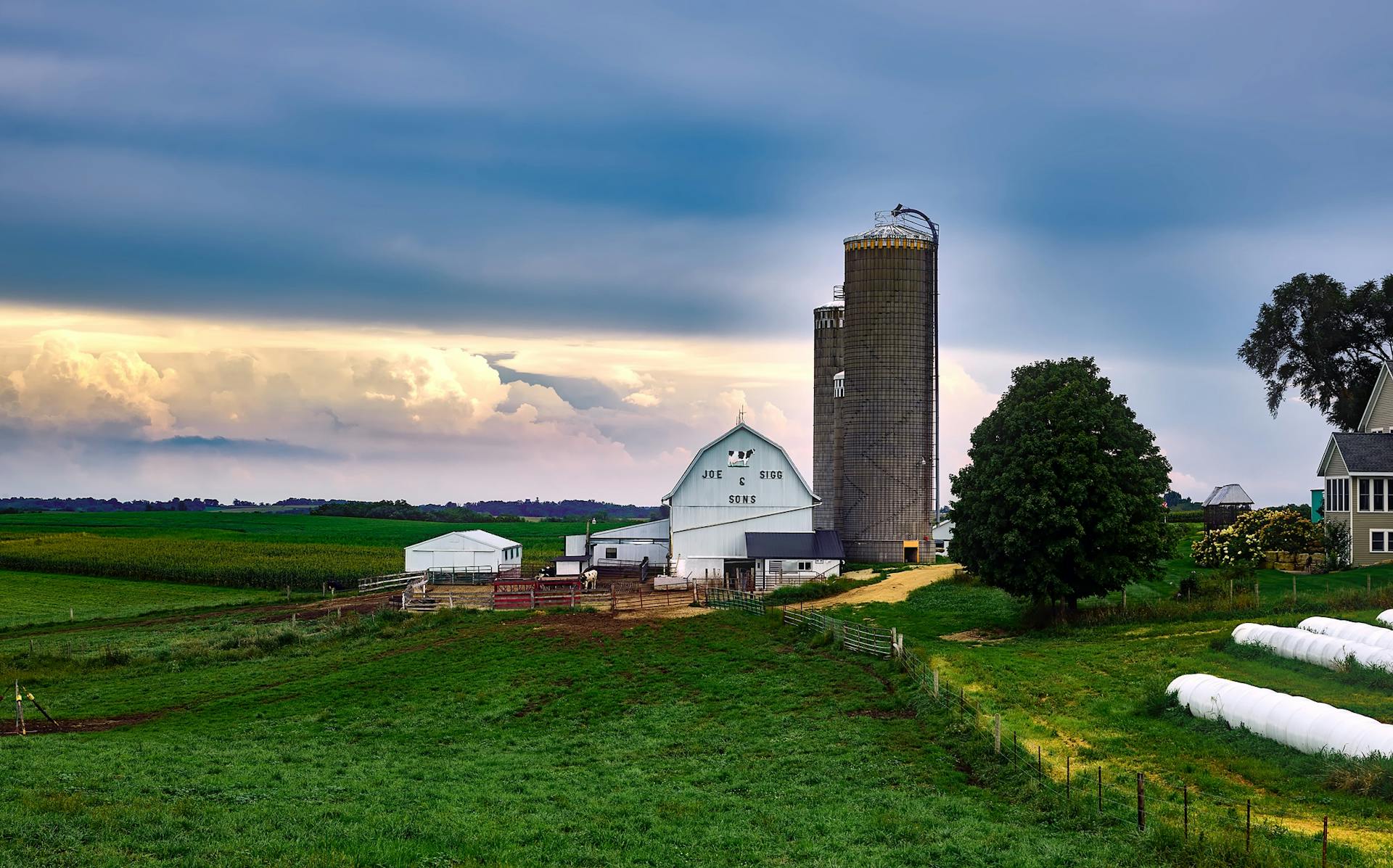 Small farm in a grassy field, representing Earth & Tail's commitment to locally sourced ingredients for a shorter supply chain and reduced carbon footprint.