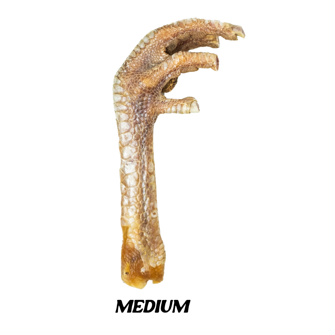 medium turkey foot dog treat