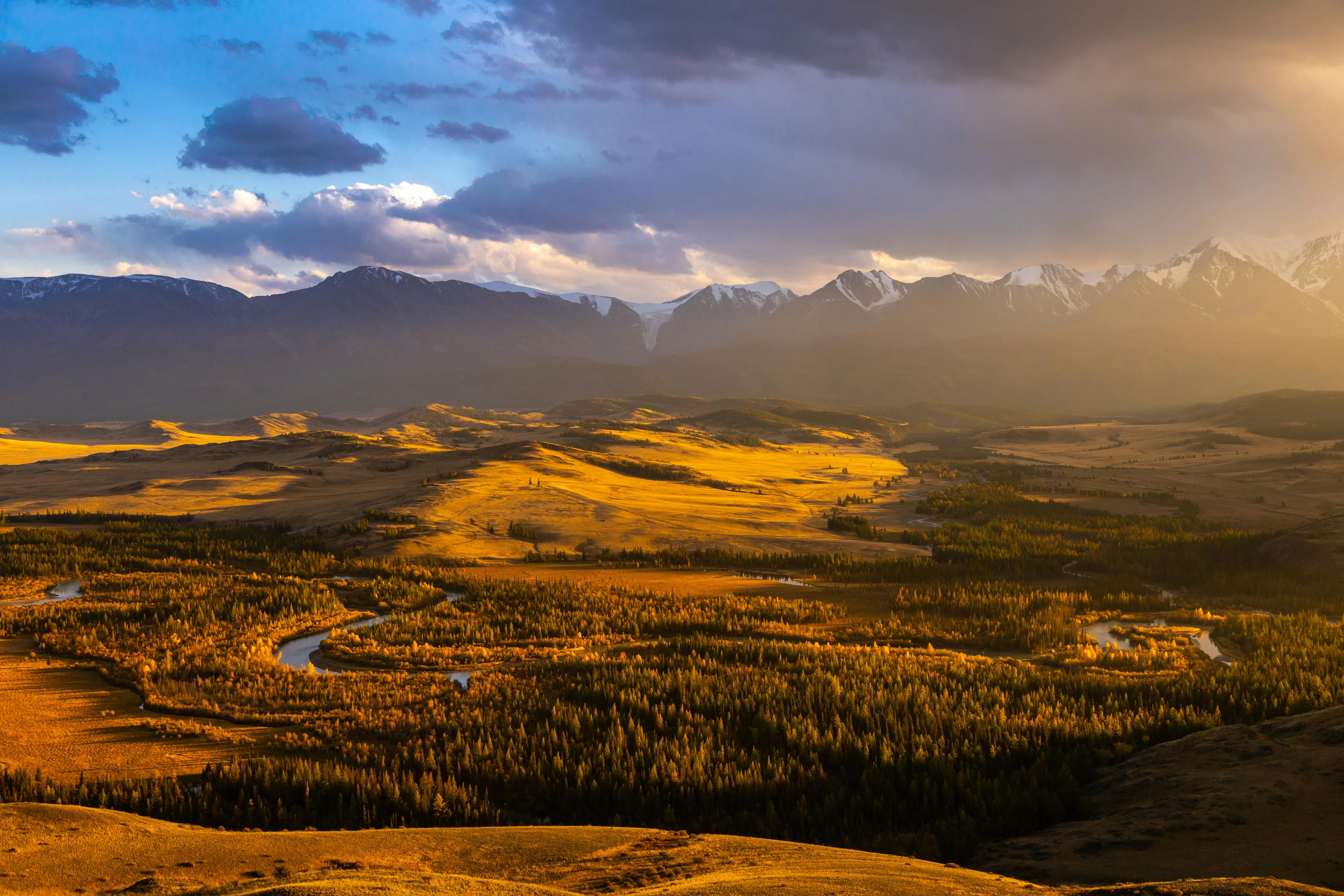 Forest and field with mountains and a sunset in the background, symbolizing the natural values behind Earth & Tail's rewards program.