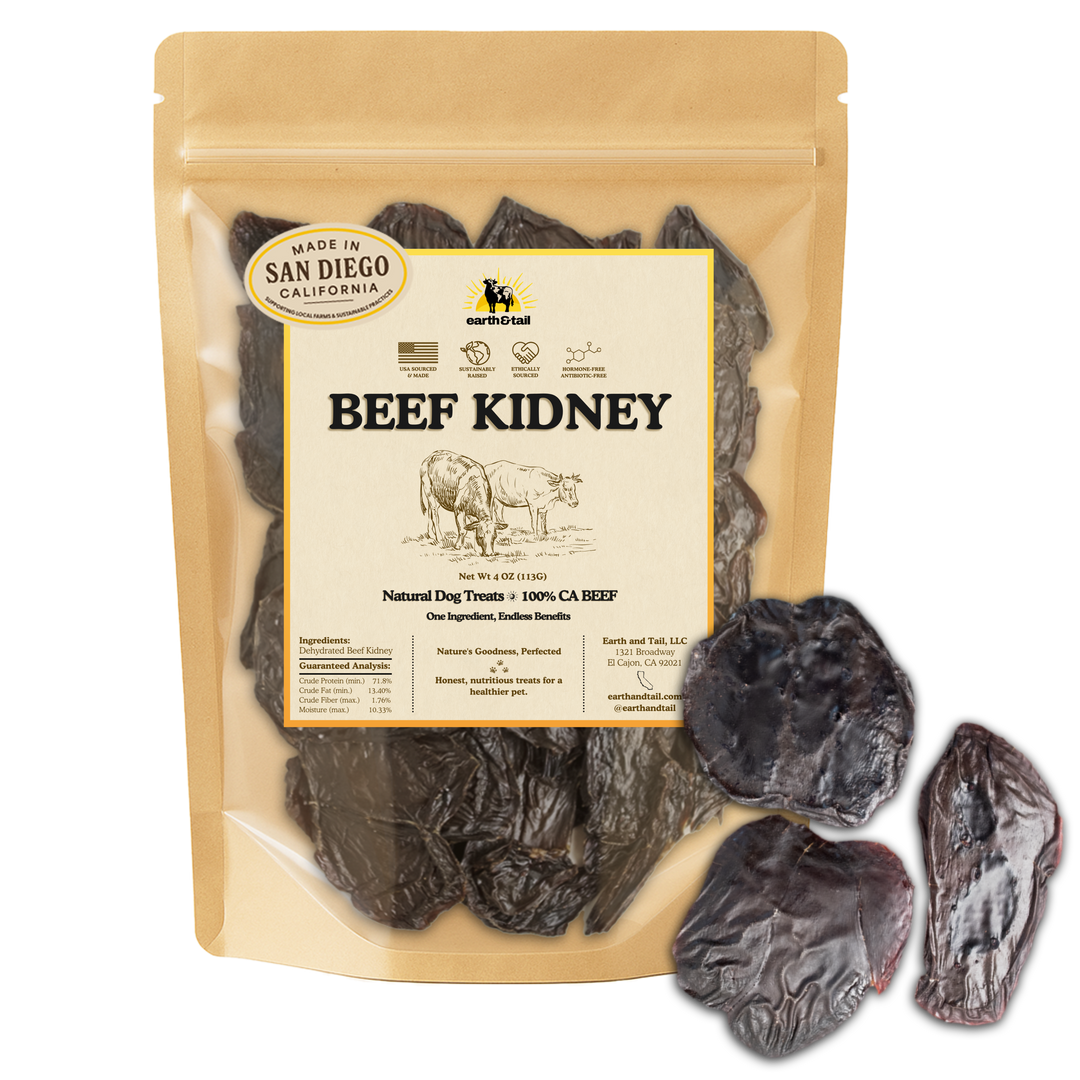 Beef Kidney
