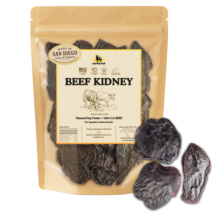 Beef Kidney