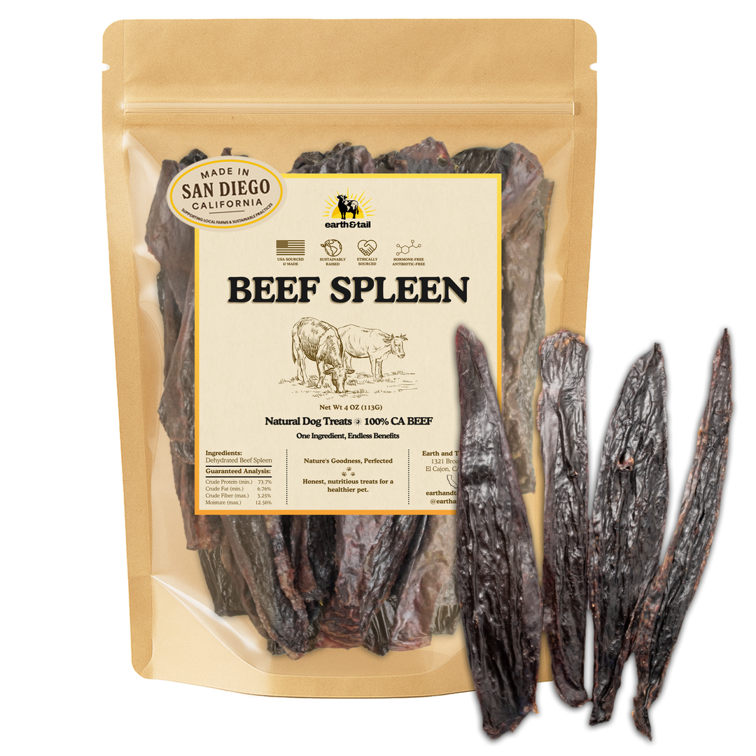 Beef Spleen