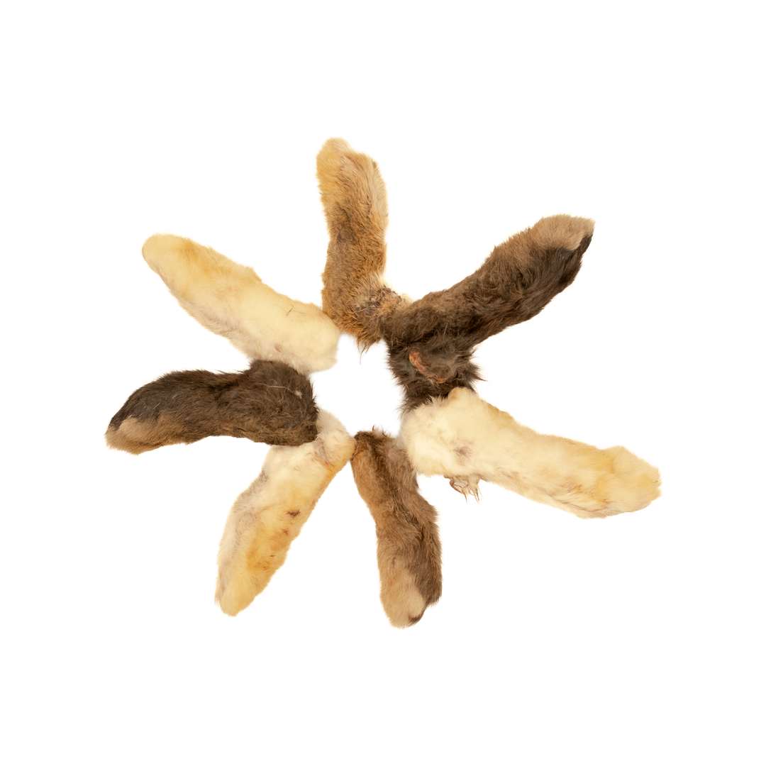 Rabbit Feet — 7 Pack