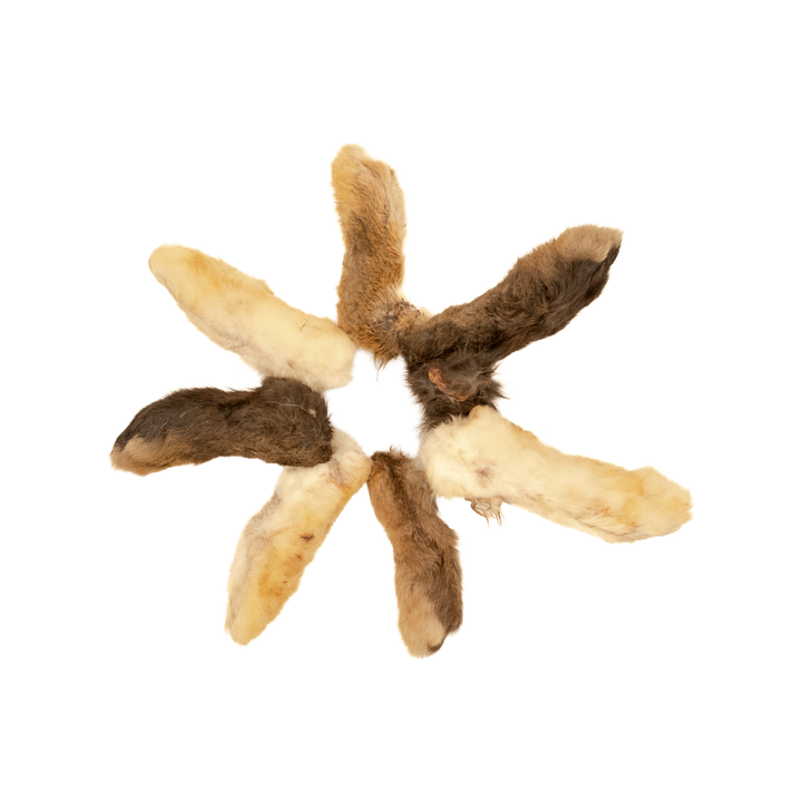 Rabbit Feet — 7 Pack