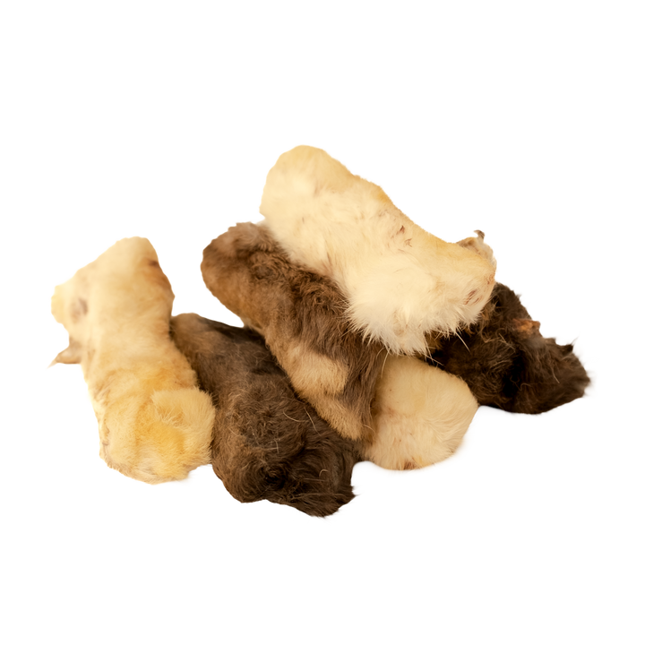 Rabbit Feet — 7 Pack