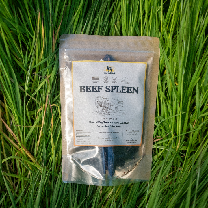 Beef Spleen