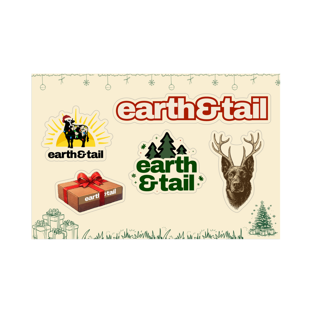 Earth & Tail Holiday Sticker Pack – December Edition