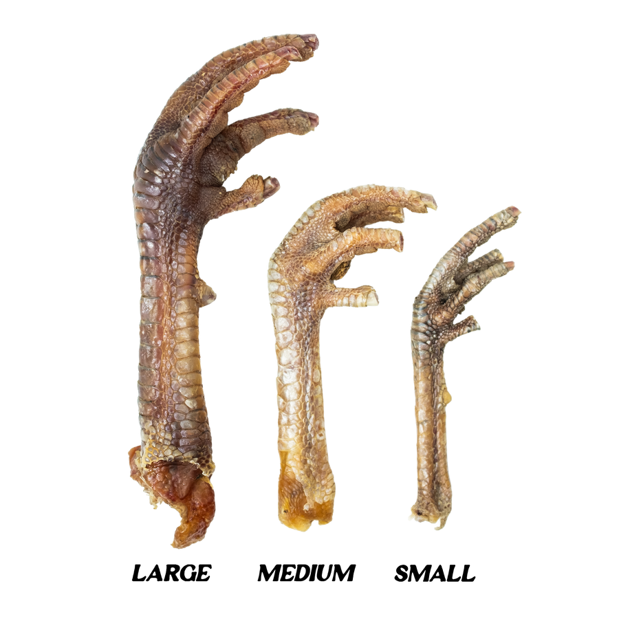 three different sized turkey feet dog treats